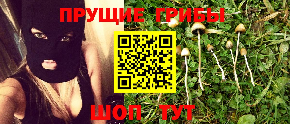 Псилоцибиновые грибы мухоморы  Галлюциногенные грибы мухоморы  Вход с VPN  дарнет шоп  Ефремов 