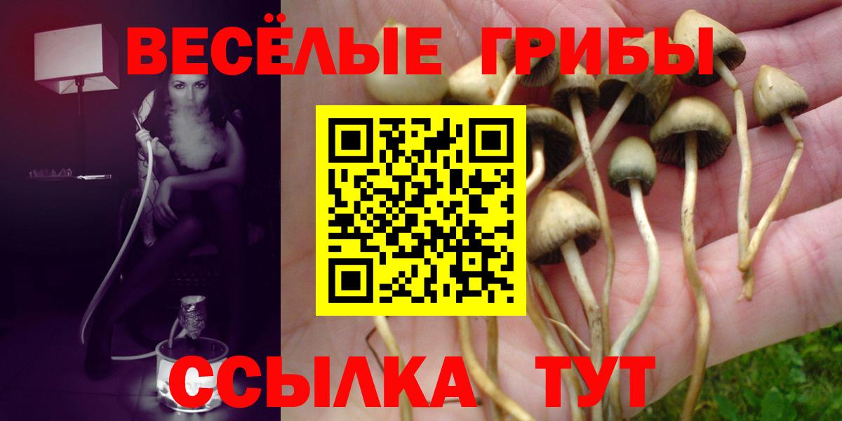 Галлюциногенные грибы Psilocybine cubensis Ефремов