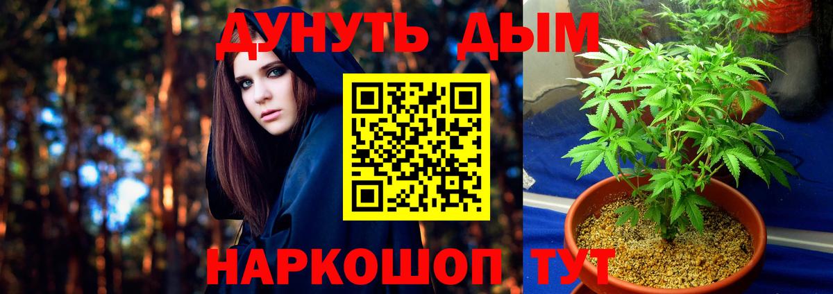Шишки марихуана ГИДРОПОН Ефремов